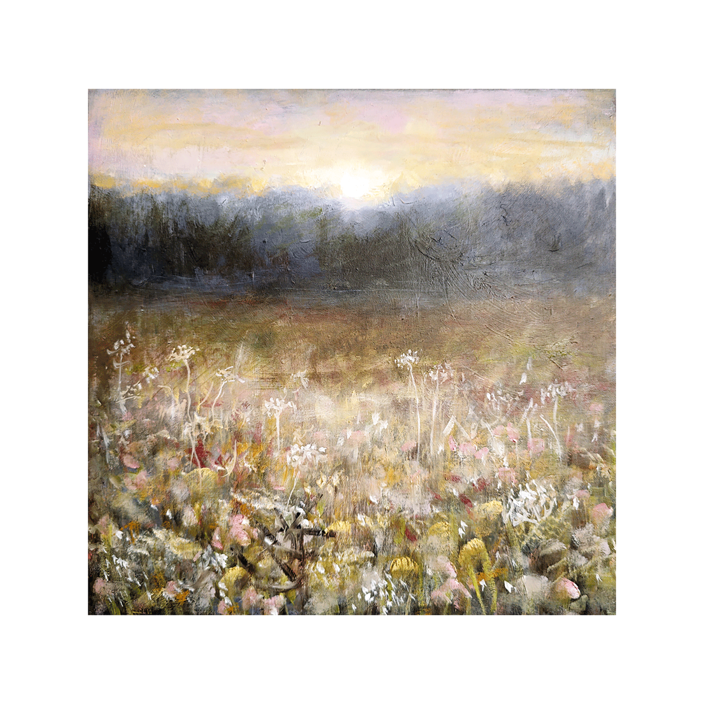Misty field