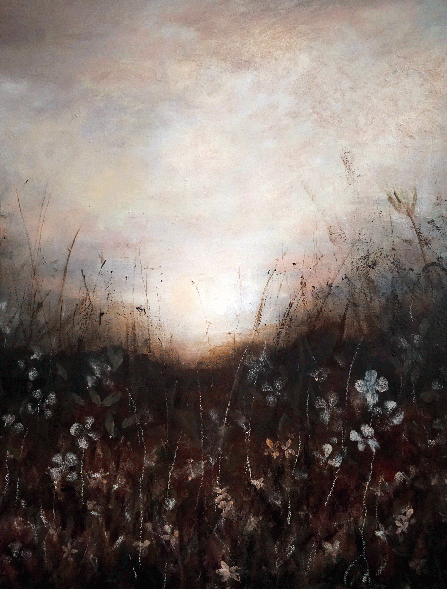 Where the light lingers